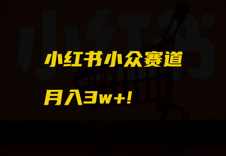分享一个小红书小众赛道，月入3w+!