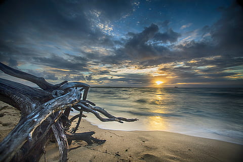除了打工，还有哪些能搞钱的方向？